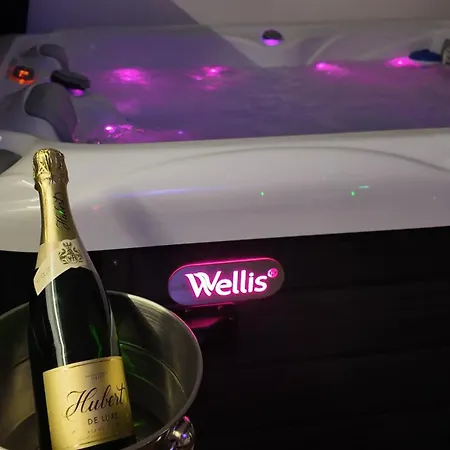 Spaya Jacuzzi Centrum - With Cinema & Private Parking * Kosice